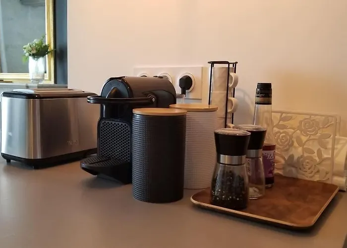 Apartmán L'elegant - Cosy, Design Et Charme En Hypercentre *